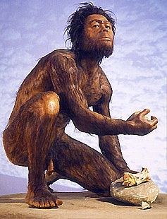 Artist rendition of Homo Habilis. (Click on image to view larger.)